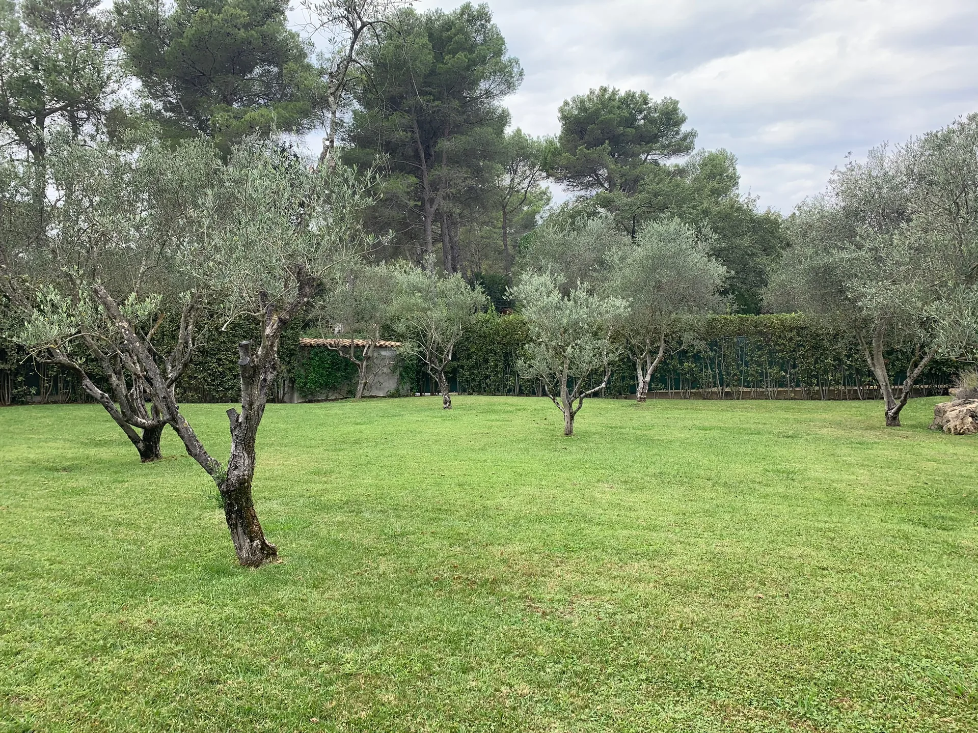Photo 4 - Villa Castellaras Castellaras, Mouans-Sartoux