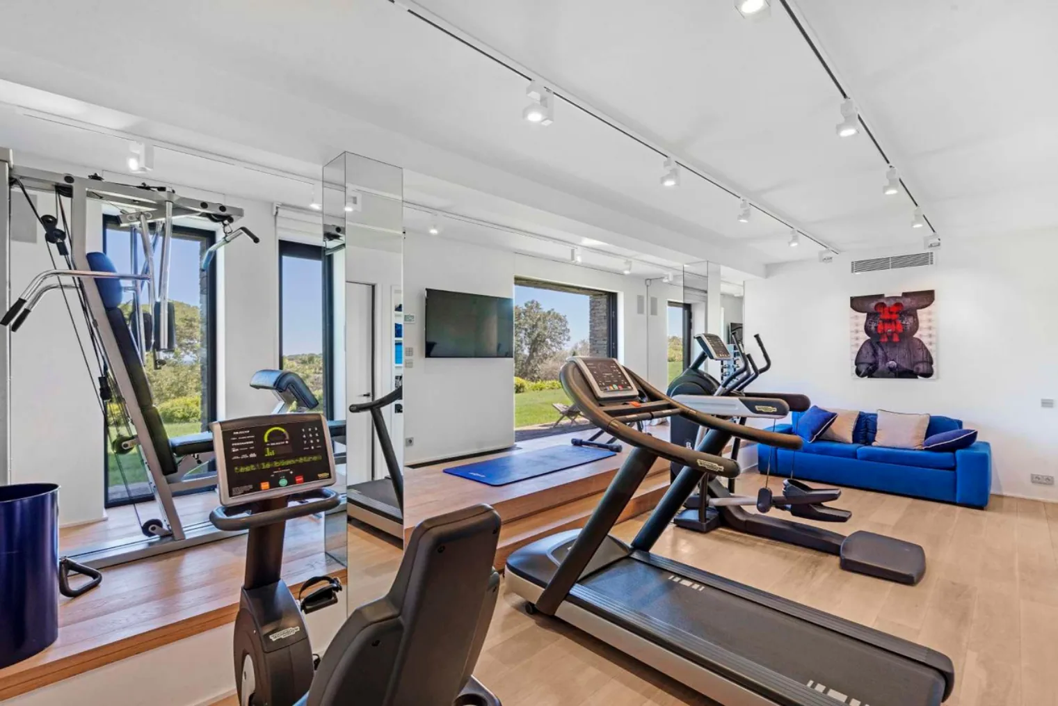 Salle de sport Technogym avec oeuvre art urbain