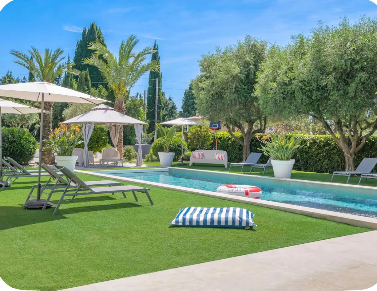 Jardin, piscine et oliviers